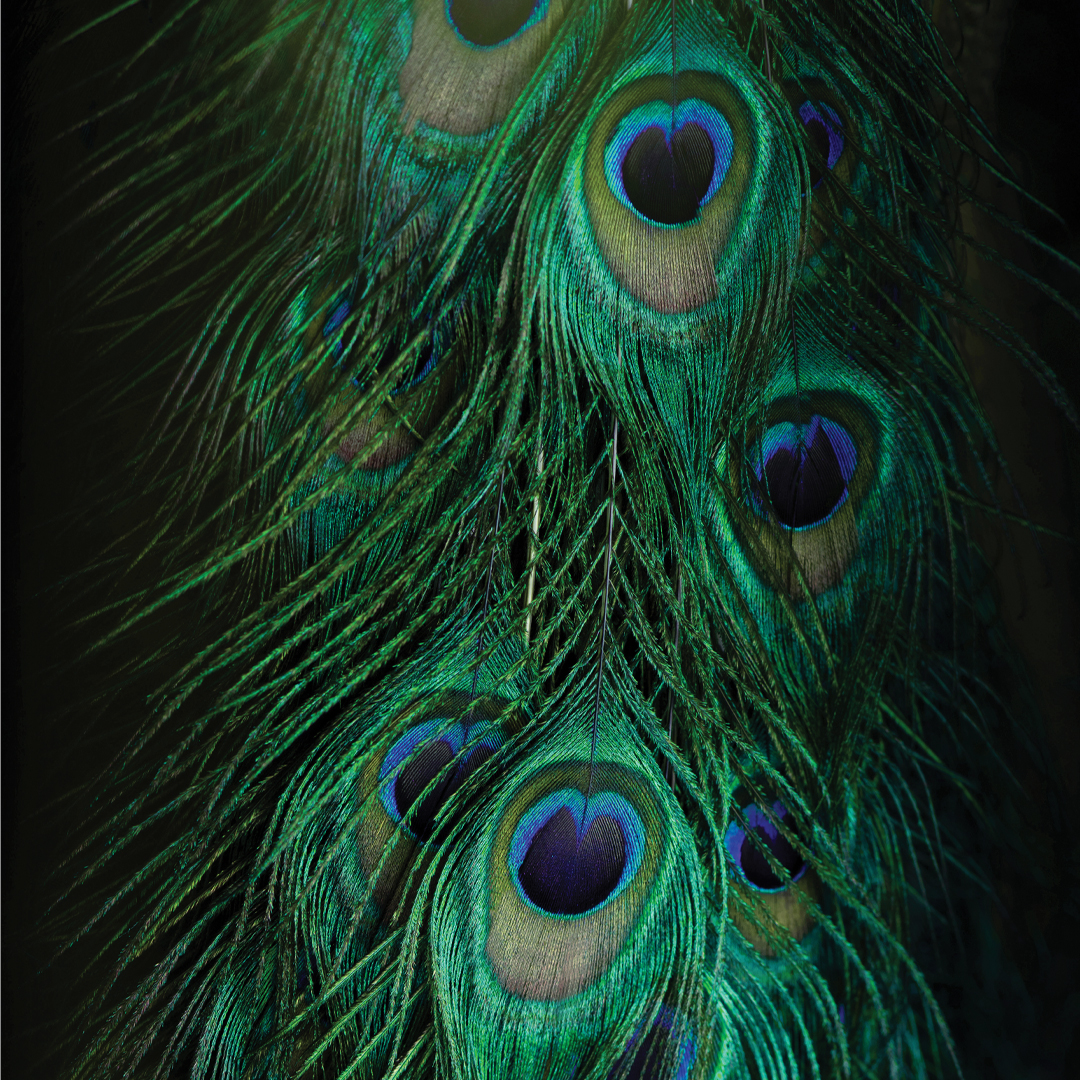 Arcoset Digital - Image 2